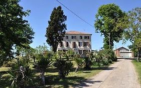 Aube Nouvelle